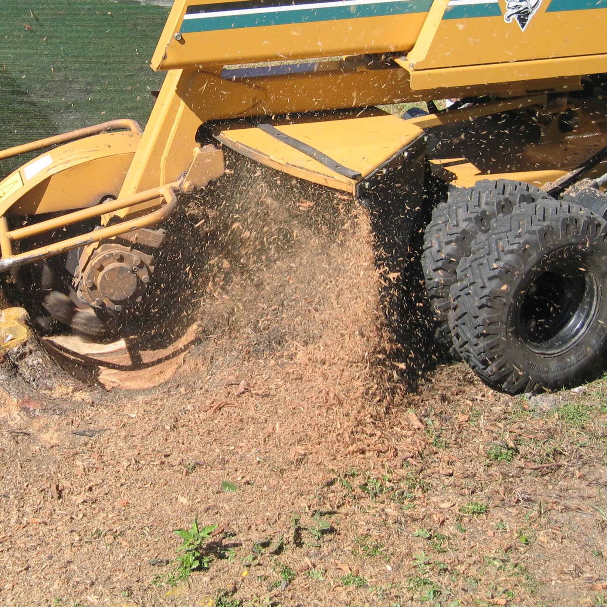 Stump Grinding